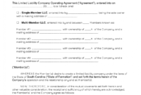 Awesome Delaware Llc Operating Agreement Template
