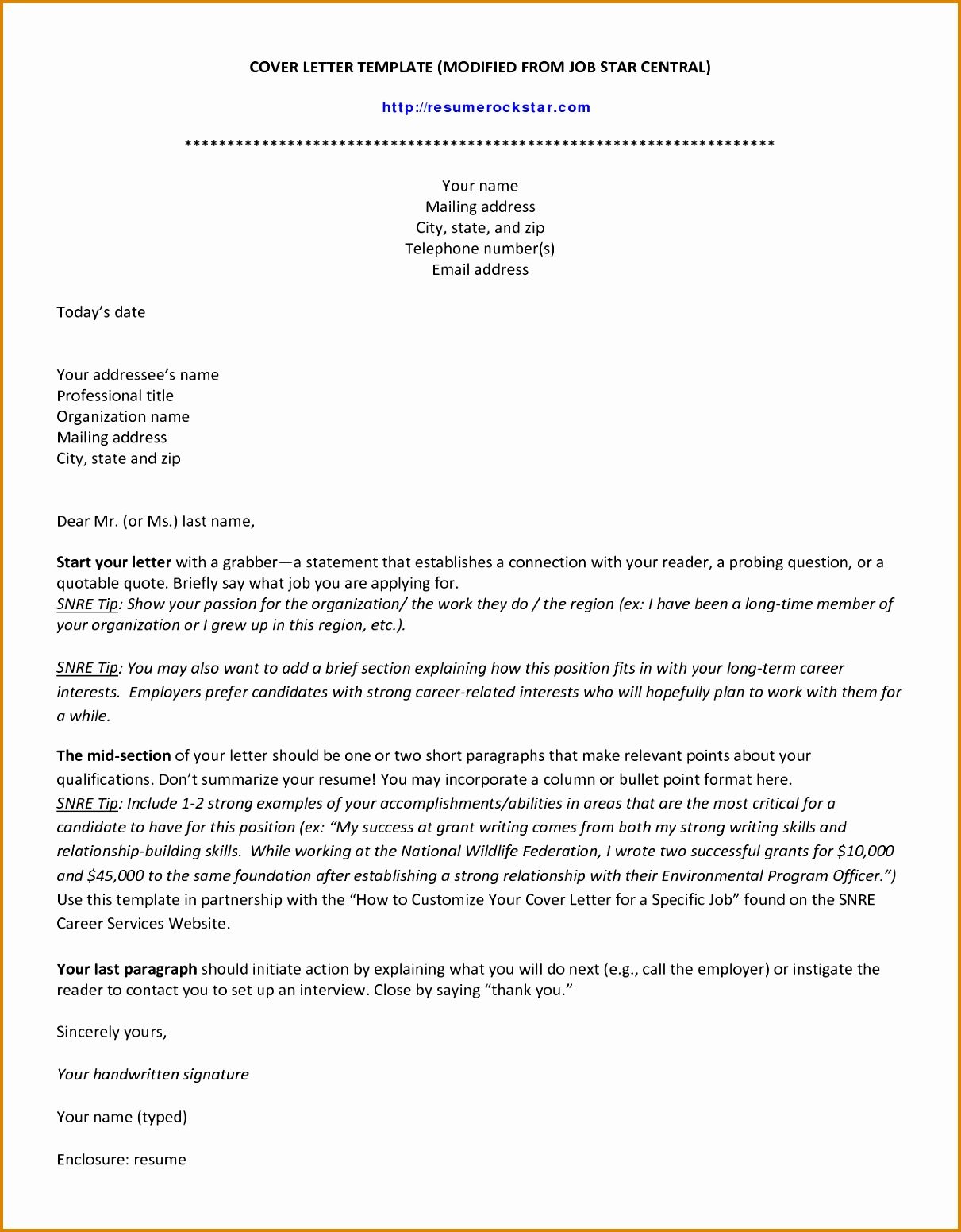 Awesome It Professional Cover Letter Template