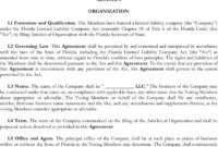 Awesome Limited Liability Company Agreement Template