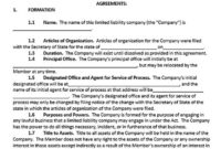 Awesome Single Member Llc Operating Agreement Template