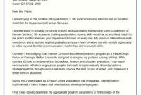 New Federal Resume Cover Letter Template