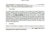 Professional Charitable Donation Agreement Template