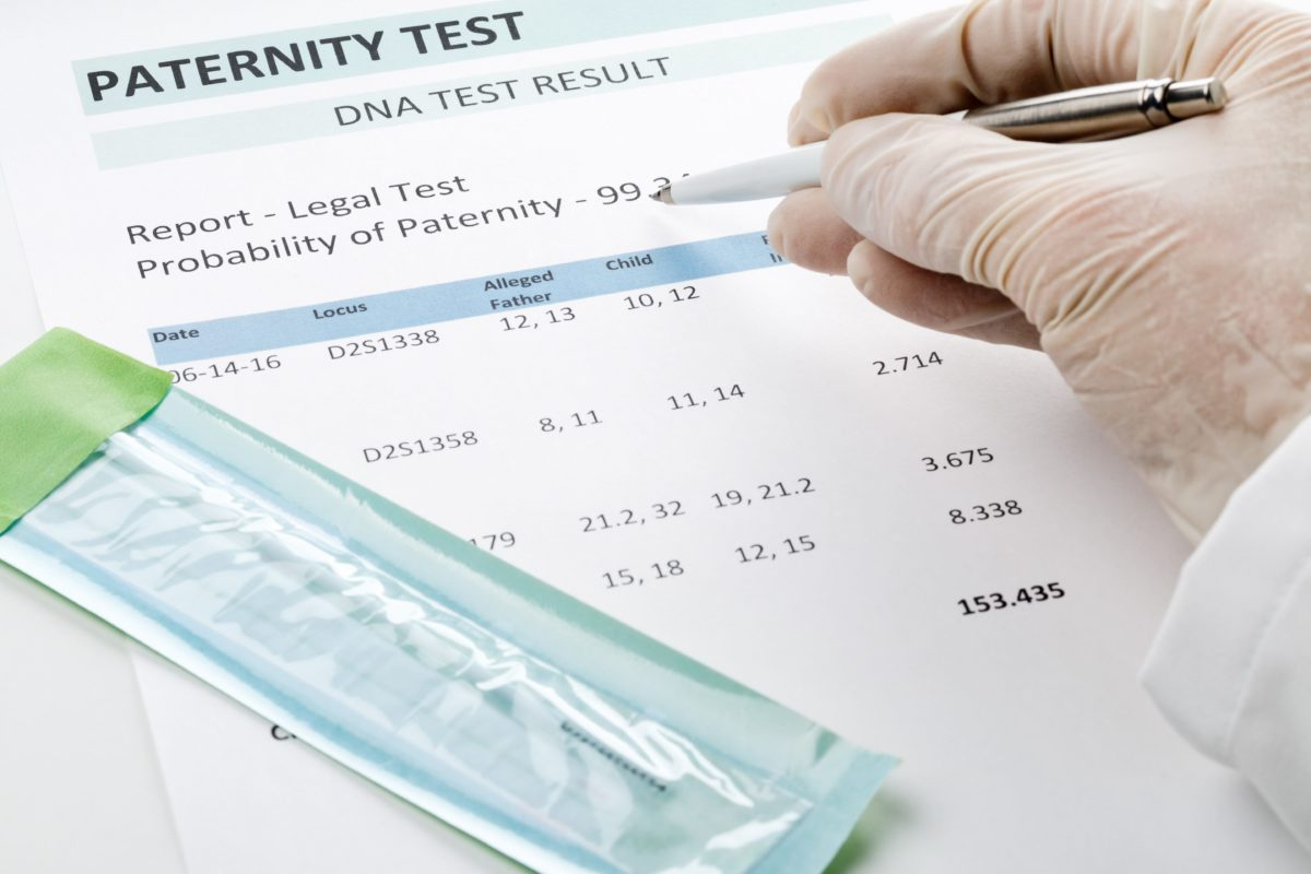 Professional Fake Paternity Test Results Letter Template