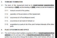 Professional Franchise Development Agreement Sample