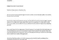 Professional Late Payment Letter Template