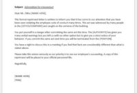 Professional Letter Of Reprimand Template