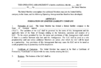 Professional Limited Liability Company Agreement Template