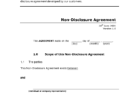Professional Non Disclosure And Confidentiality Agreement Template