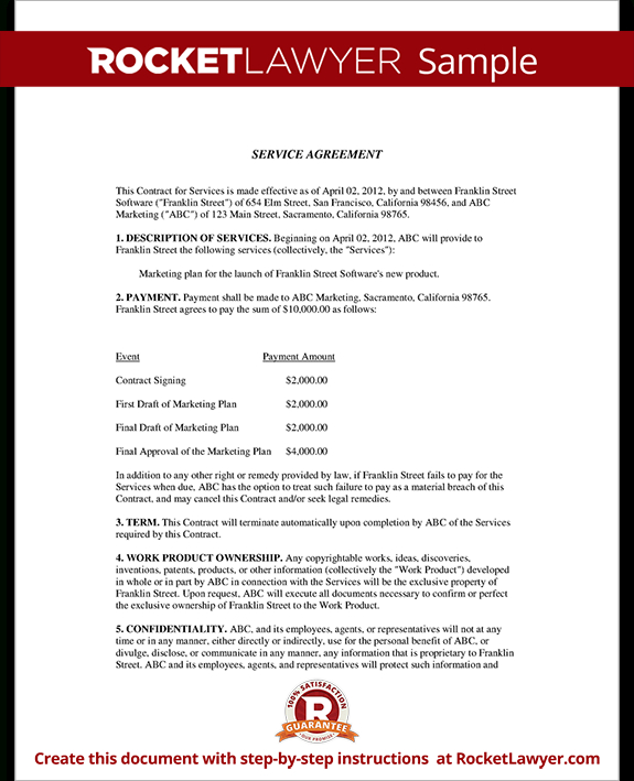 Professional Service Provider Agreement Template