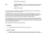 Professional Source Code License Agreement Template
