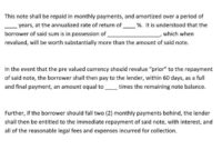 Simple Demand Letter Promissory Note Template