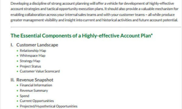 Amazing Account Management Policy Template