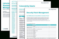 Amazing Vulnerability Management Program Template