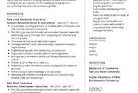 Fascinating Business Management Resume Template