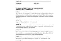 Professional Individual Performance Management Template