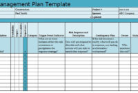 Professional It Program Management Plan Template