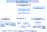 Professional Management Organizational Chart Template