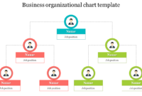 Professional Management Organizational Chart Template