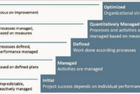 Professional Project Management Maturity Assessment Template