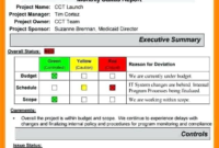Professional Project Management Summary Template