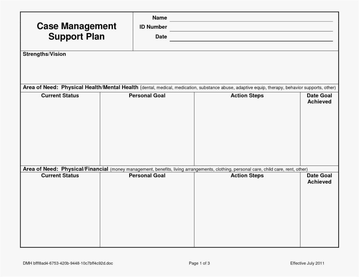 Professional Self Management Care Plan Template