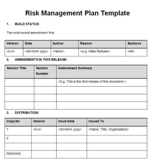 Simple Enterprise Risk Management Plan Template
