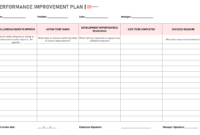 Top Individual Performance Management Template