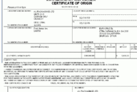 Amazing Certificate Of Origin Template