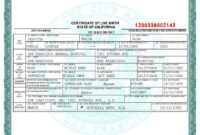 Awesome Fake Birth Certificate Template