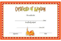 Best Cat Adoption Certificate Templates