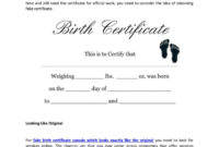 Fantastic Novelty Birth Certificate Template