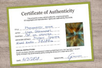 Fascinating Certificate Of Authenticity Template