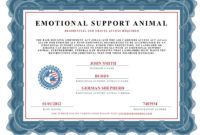 Fascinating Dog Training Certificate Template Free 7 Best