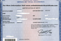 Fascinating Novelty Birth Certificate Template