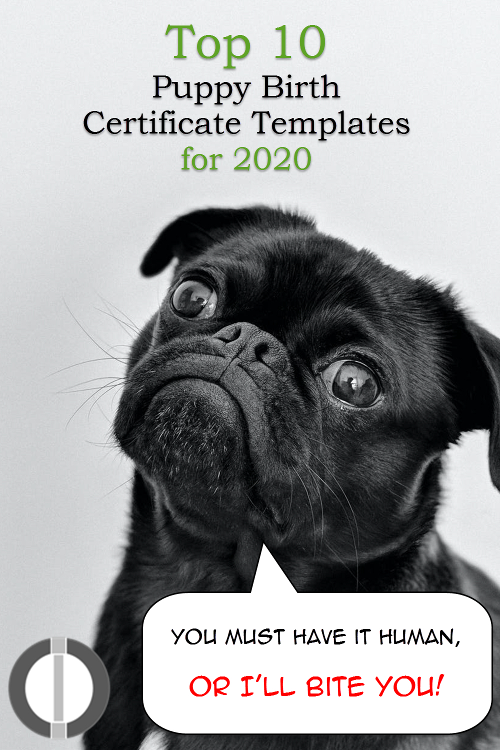 Free Pet Birth Certificate Template