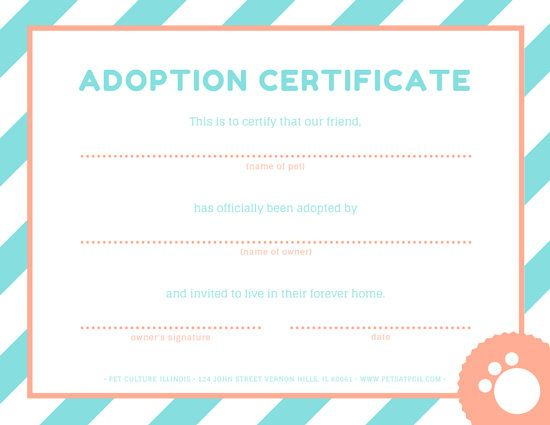 Free Stuffed Animal Adoption Certificate Template Free