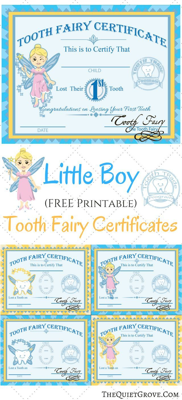 Fresh Free Tooth Fairy Certificate Template