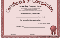 New Certificate Of Accomplishment Template Free