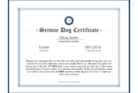 New Dog Obedience Certificate Template Free 8 Docs