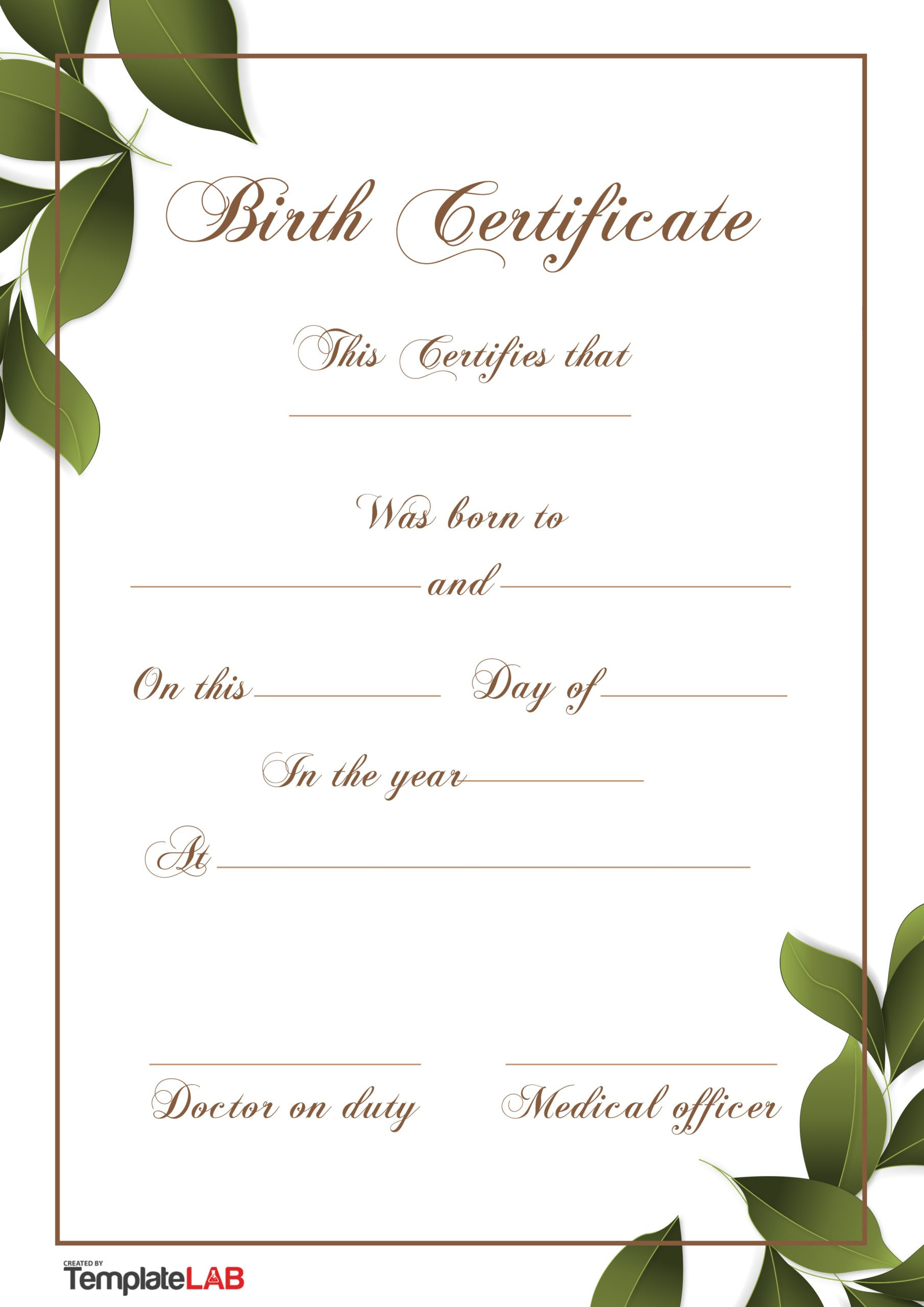 Professional Birth Certificate Templates For Word