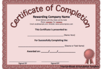 Professional Certificate Of Completion Word Template