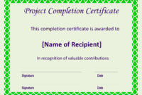 Professional Certificate Of Construction Completion