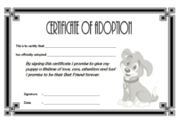 Professional Pet Adoption Certificate Template