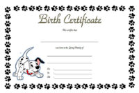Simple Kitten Birth Certificate Template