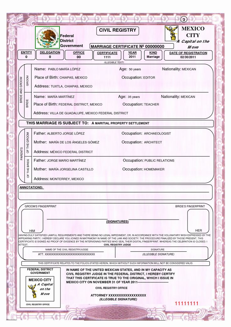 Simple Rabbit Birth Certificate Template Free 2019 Designs