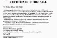 Simple Sales Certificate Template
