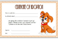 Simple Stuffed Animal Birth Certificate