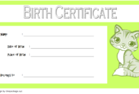 Top Kitten Birth Certificate Template