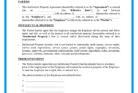 Intellectual Property Assignment Agreement Template