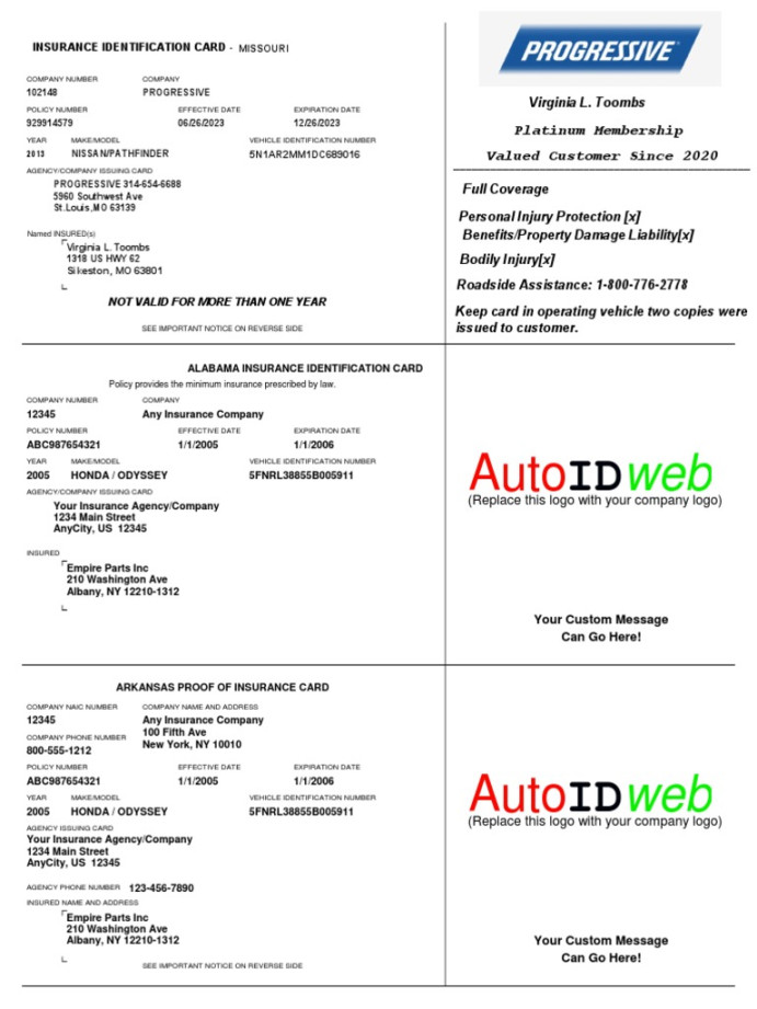 Insurance Card Template  PDF  Insurance  Business Law